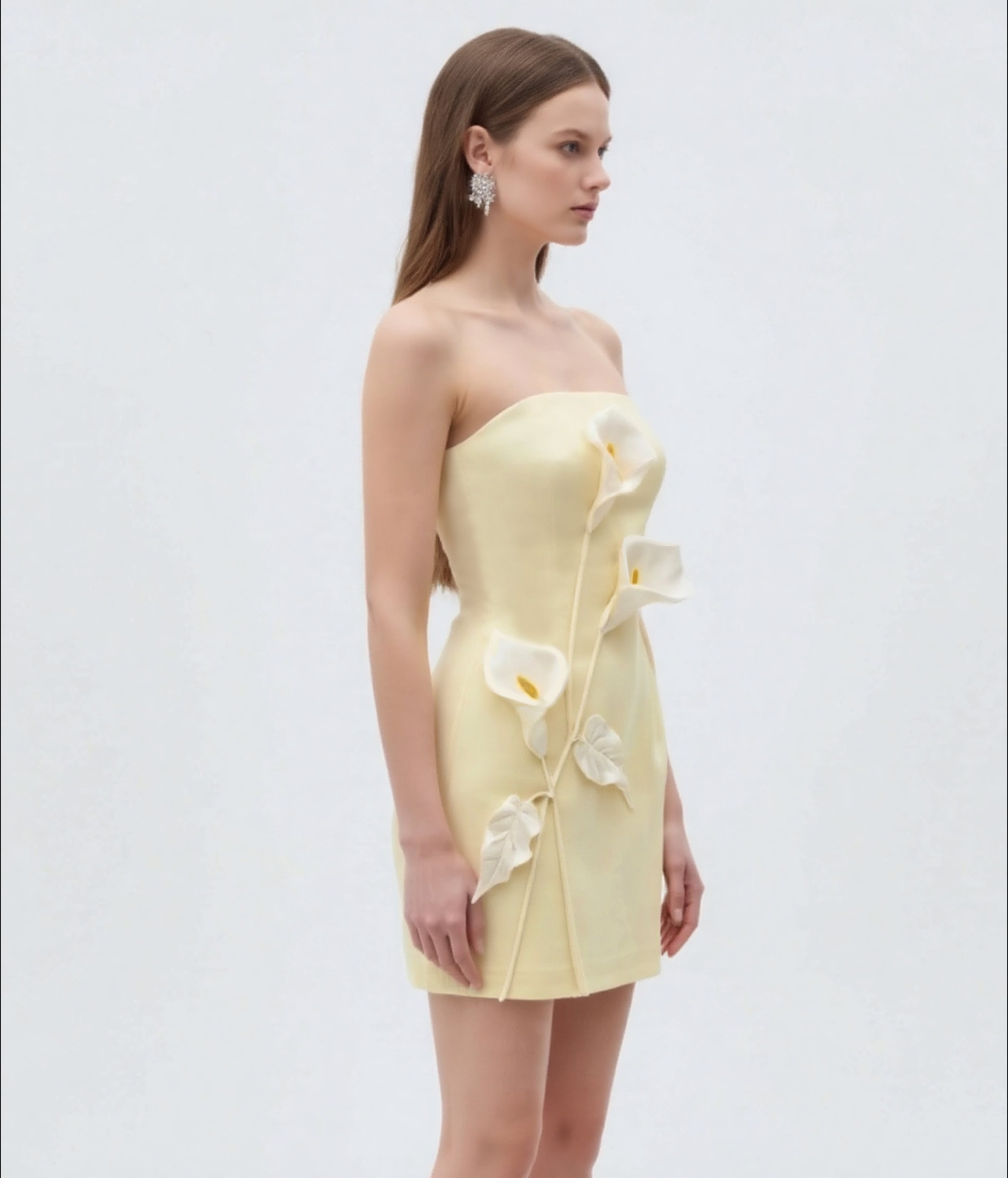 Strapless Floral Appliqu¨¦ Dress - Yellow