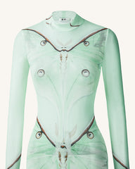 Moth Sheer Mesh Gown - Green/Beige
