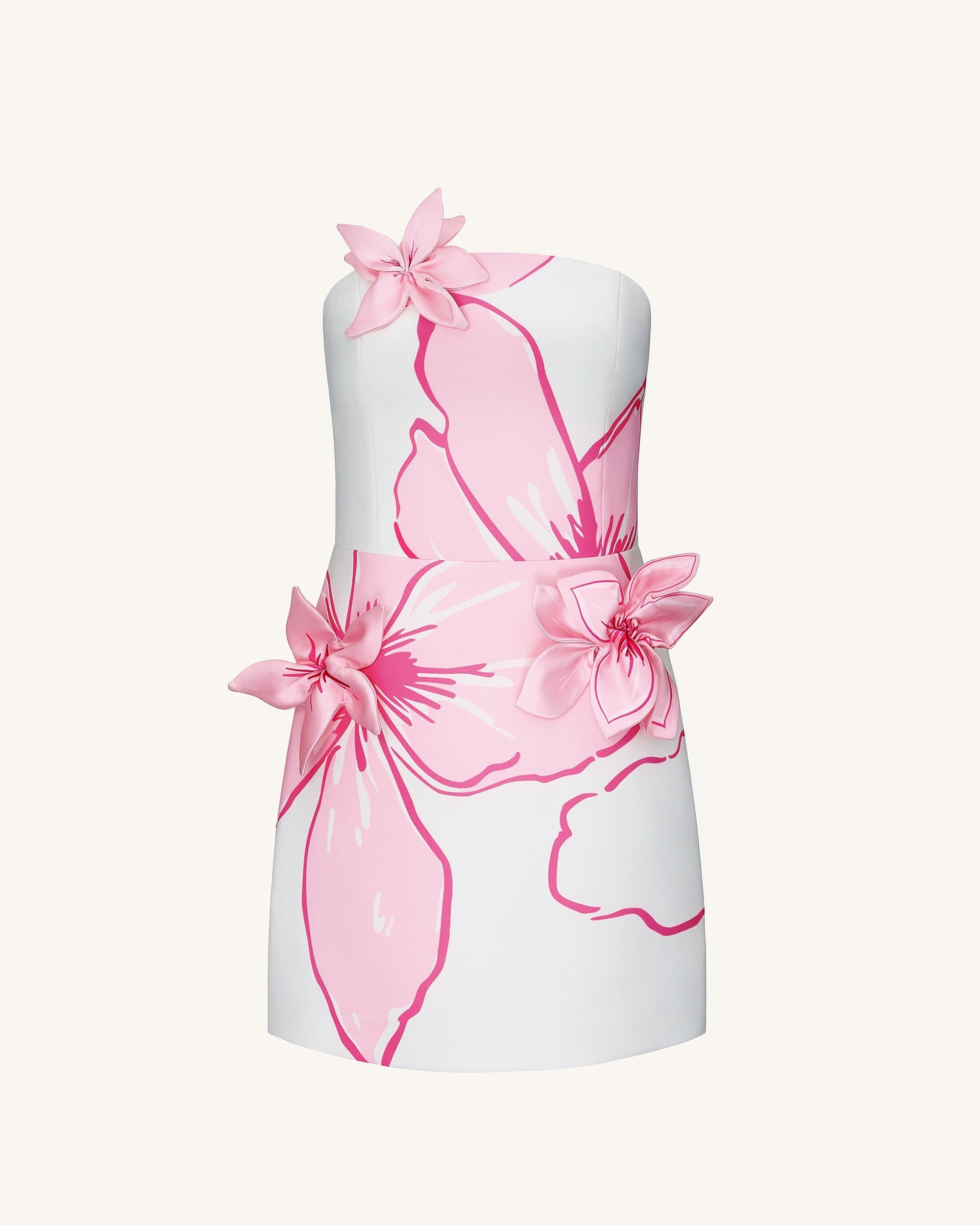Mini Dress with Pink Floral Appliqu¨¦s - White/Pink
