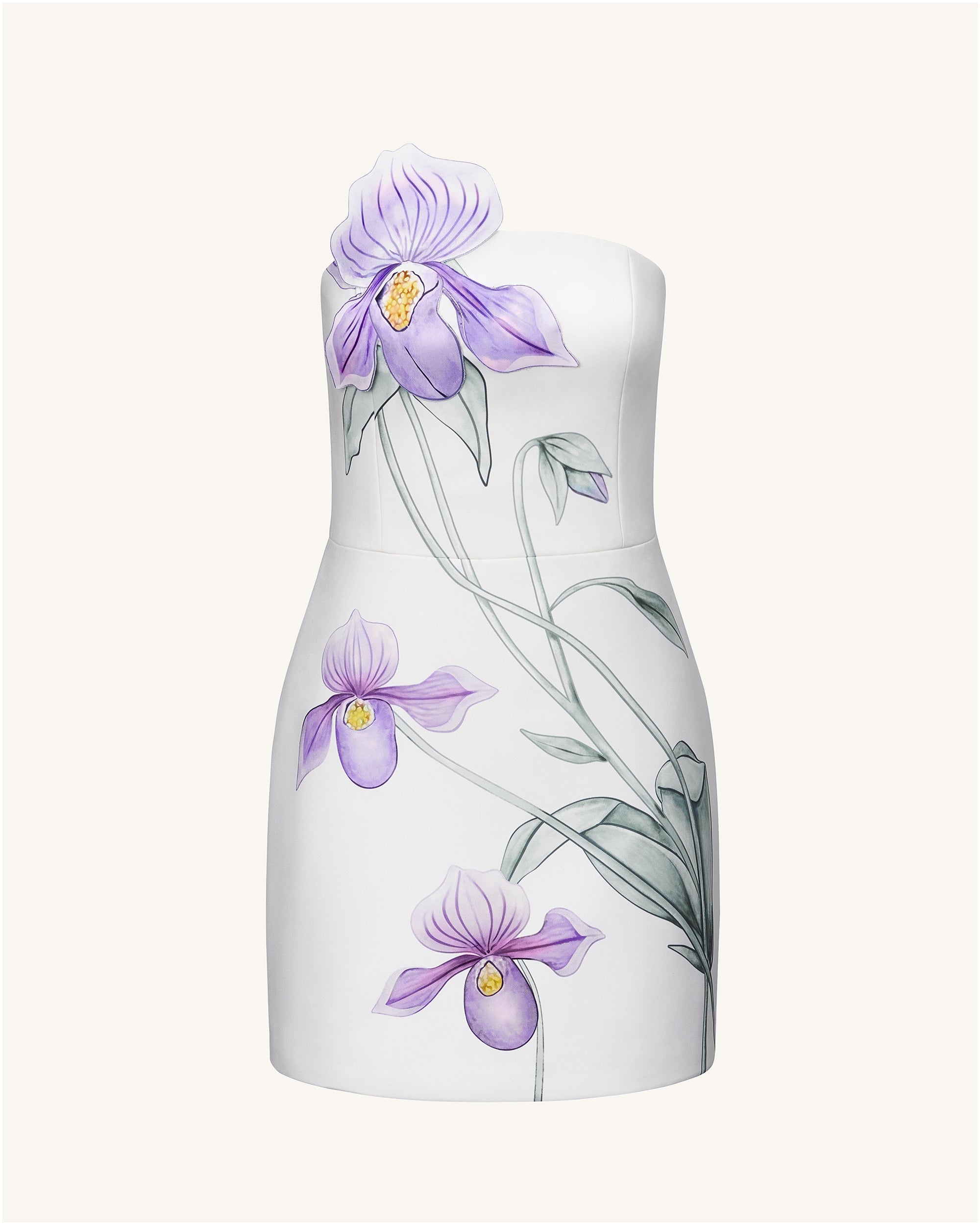 Slipper Orchid Appliqu¨¦ Mini Dress - White
